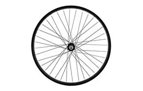 WheelMaster Rear Bicycle Wheel