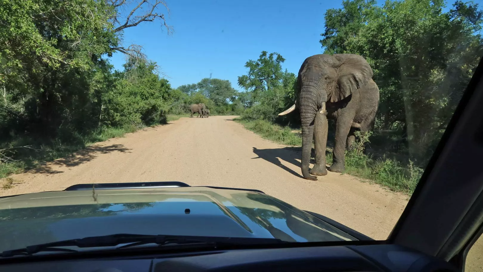 That Time I Almost Got a Land Cruiser Thrashed by an Elephant in Africa