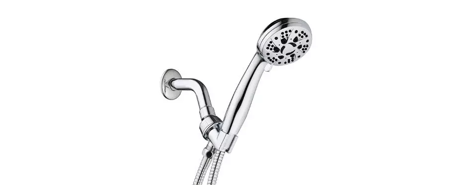 AquaDance Handheld Shower