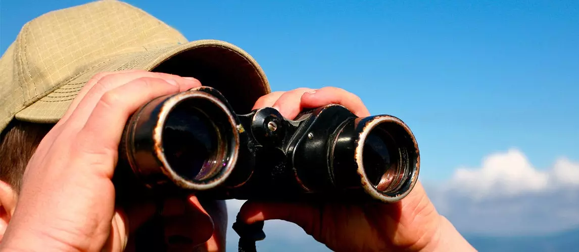 The Best 8&#215;32 Binoculars (Reviews) in 2023 | Autance