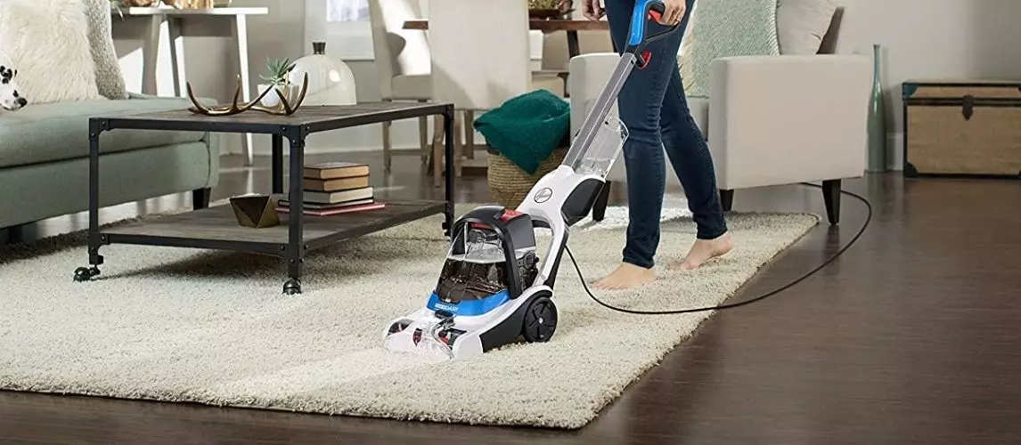 The Best Carpet and Upholstery Cleaners (Review &#038; Buying Guide) in 2023 | Autance