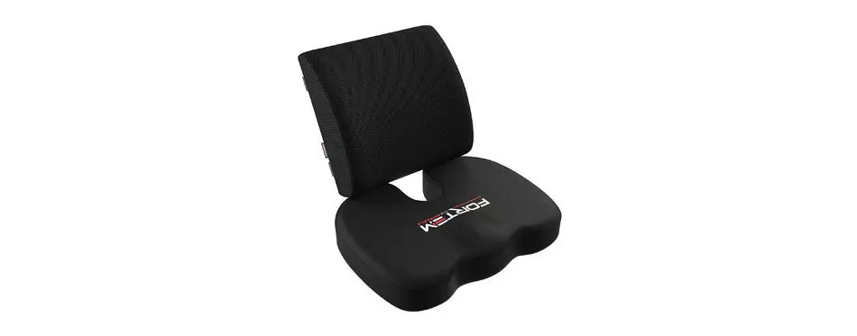 FORTEM Seat Cushion and Lumbar Support