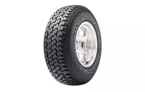 Goodyear Wrangler Radial Mud Tire