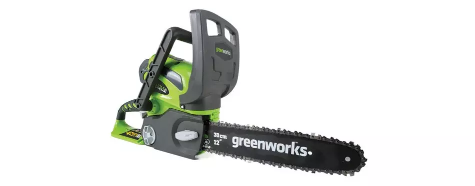 Greenworks 12-Inch Cordless Chainsaw