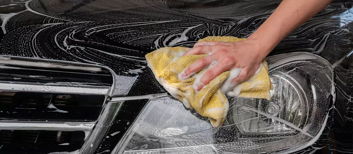 how-to-clean-bug-splats-off-your-car-autance-automotive