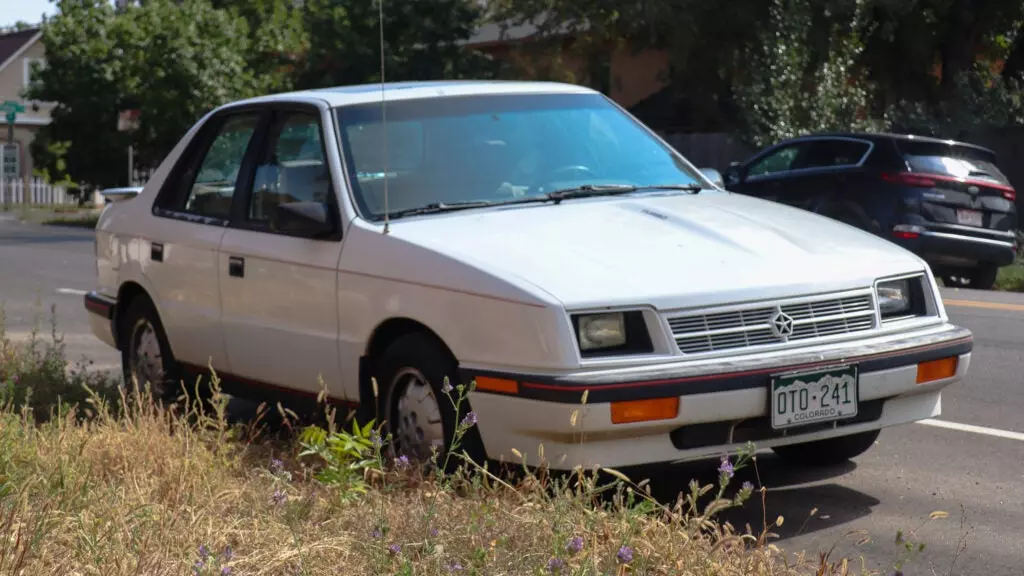 Spotting a Clean Dodge Shadow Is a Sign of Good Things To Come