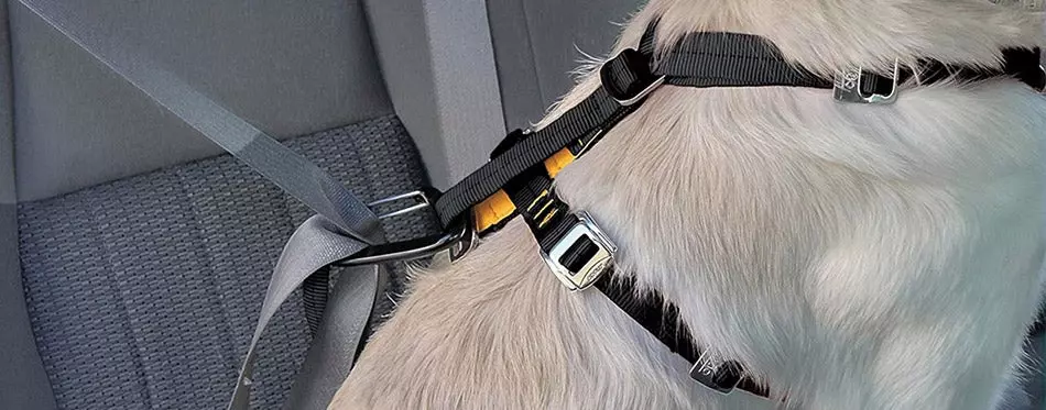 Kurgo Dog Car Harness