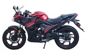 Lifan 200cc Adult Gas Motorcycle