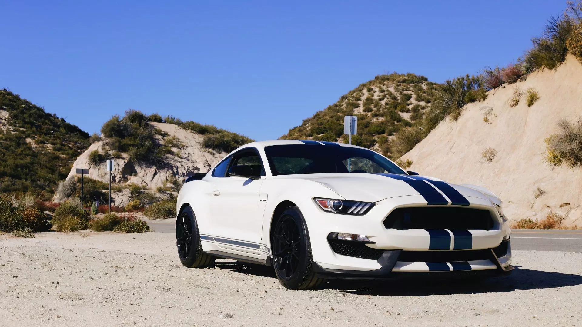 The Ford Mustang Shelby GT350 Really Is Best Appreciated on a Race Track | Autance