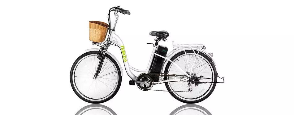 NAKTO Cargo Electric Bicycle