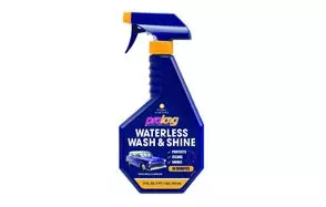 Prolong Super Lubricants Waterless Wash and Shine