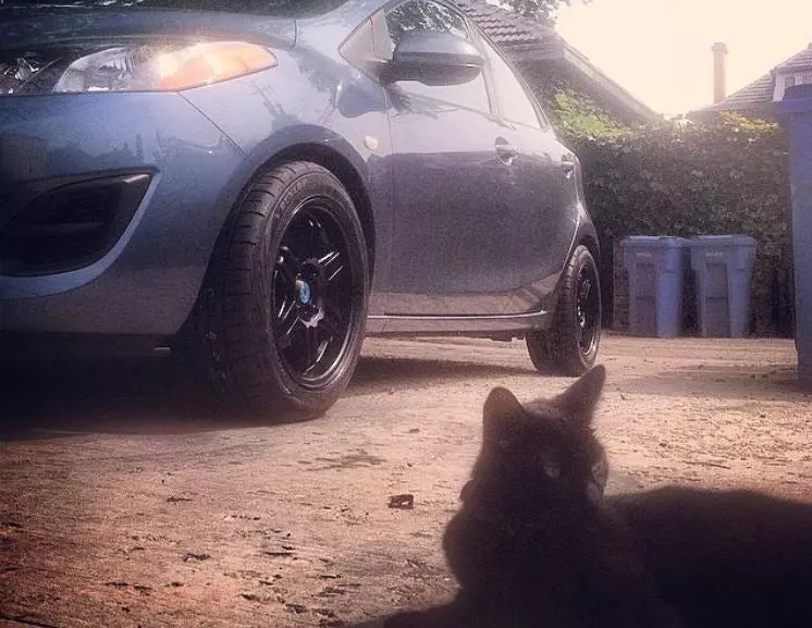 Cat Mazda2