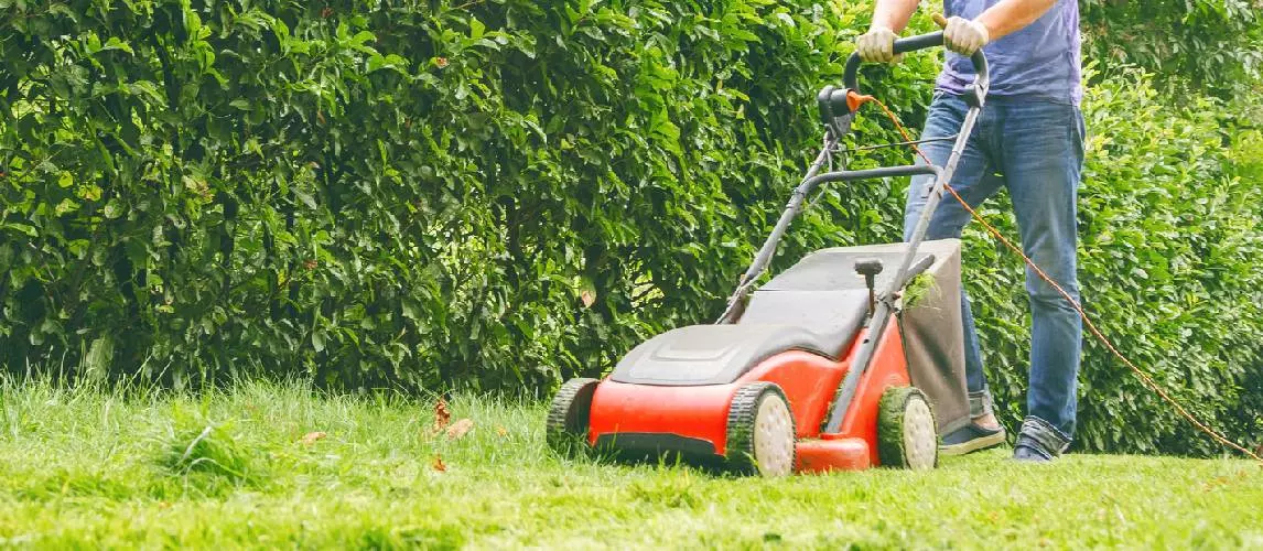 The Best Battery Powered Lawn Mowers ( (Review and Buying Guide) in 2023 | Autance