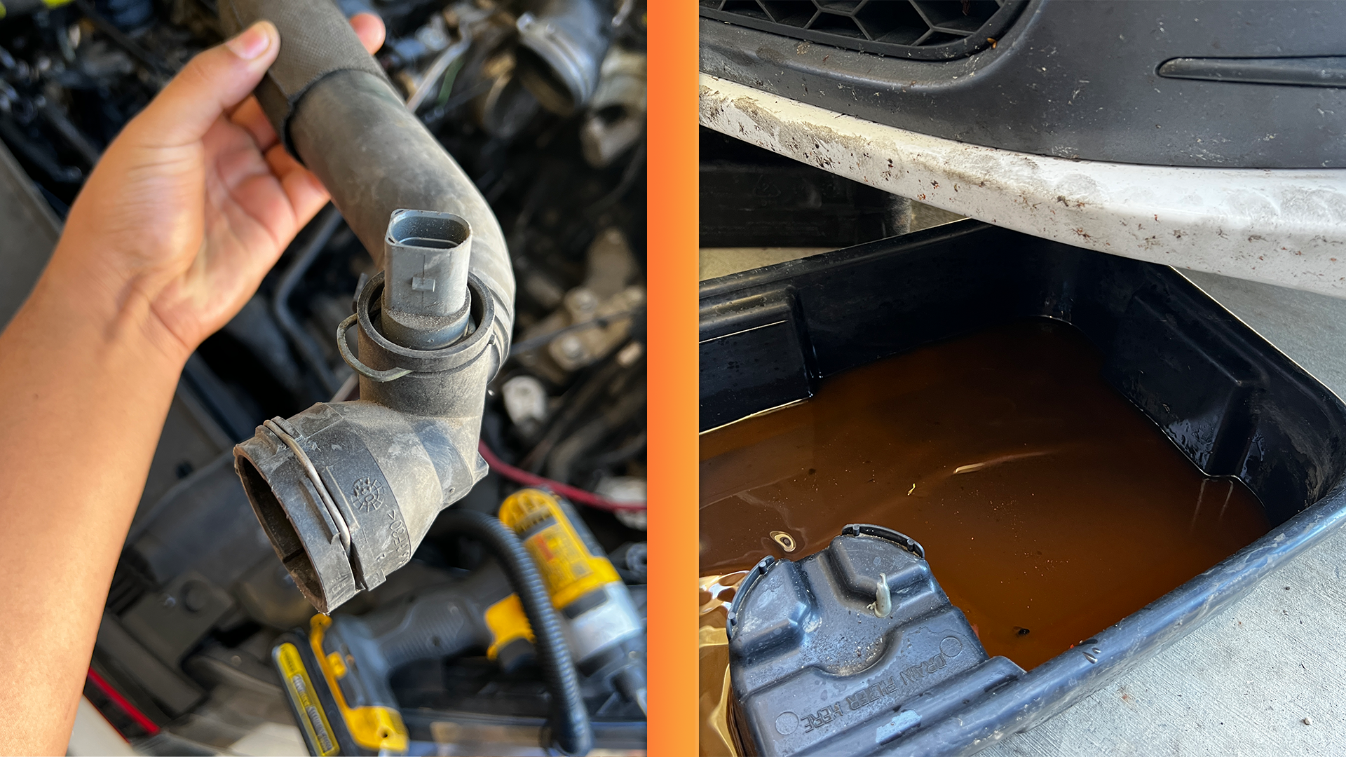 A split image of a lower radiator hose with a coolant temperature sensor, and a drain pain full of pink coolant.