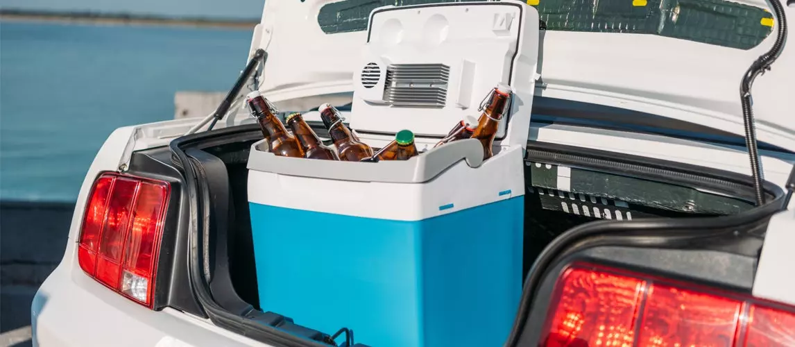 The Best Car Coolers &#038; Refrigerators (Review &#038; Buying Guide) in 2020