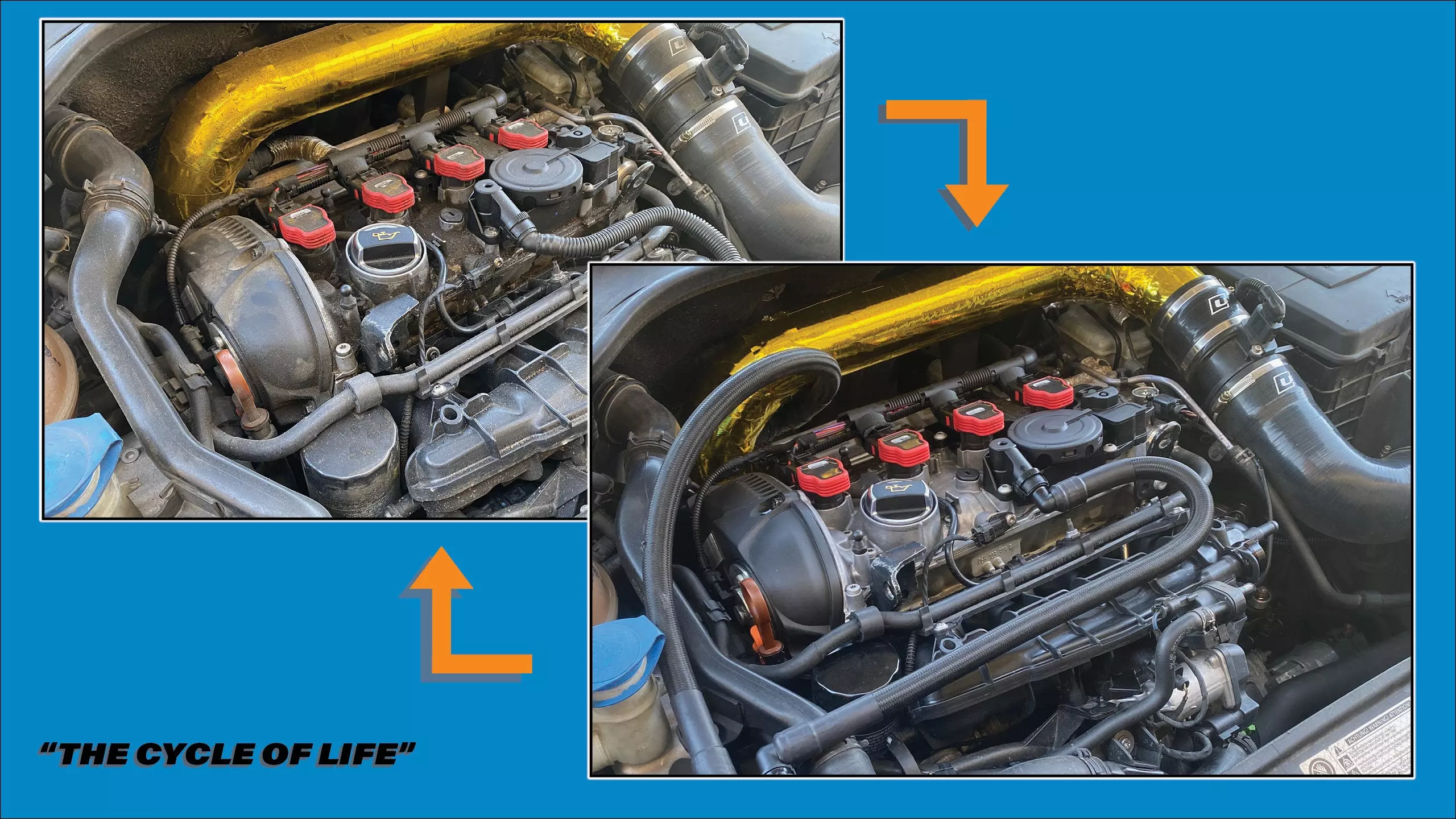Here’s How I Degrease My Filthy Engine Bay Without Damaging Anything