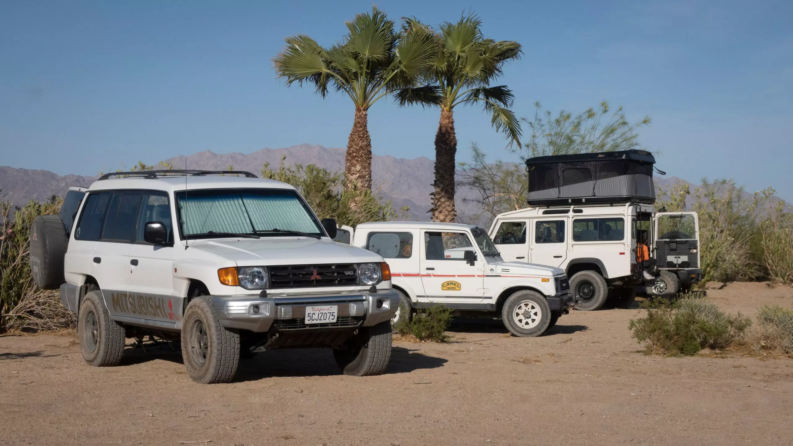What’s Better: Roof Tent, Ground Tent, or Sleeping in Your Truck?