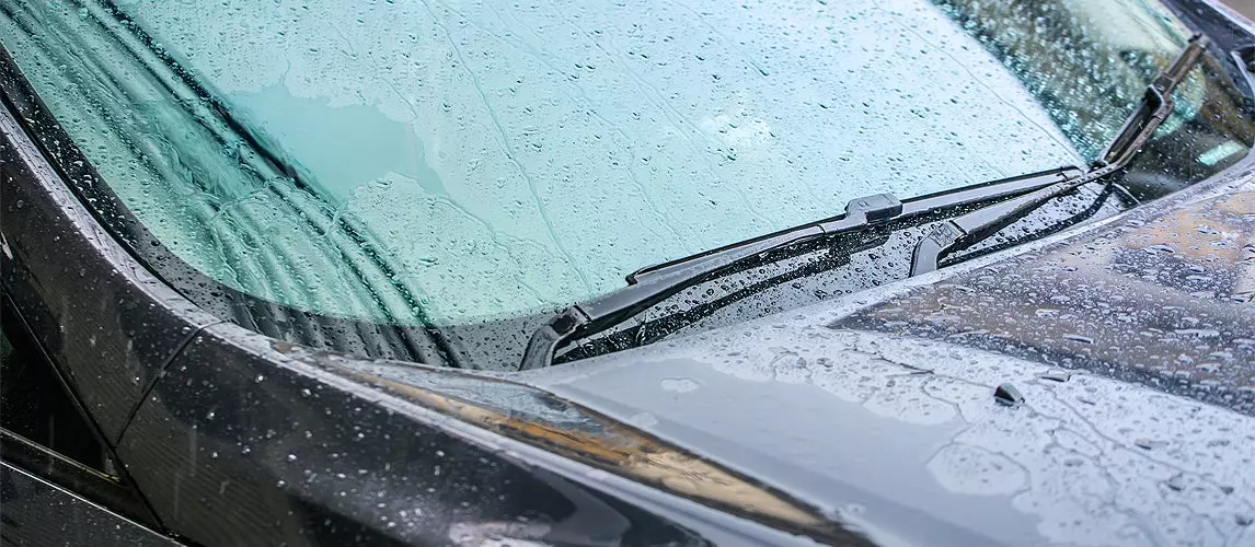 How to Replace Windshield Wiper Blades in a Few Easy Steps