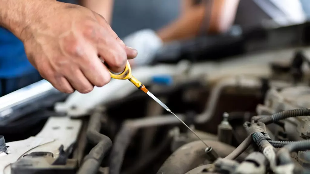 How Often Should You Change Oil?