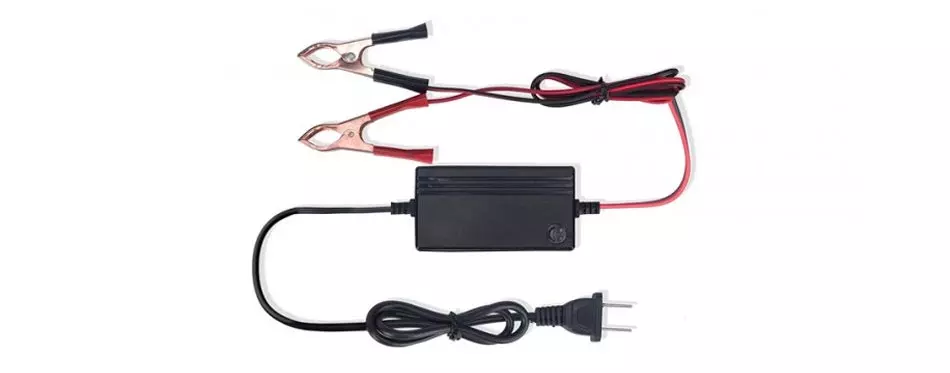 orionmotortech automatic battery charger