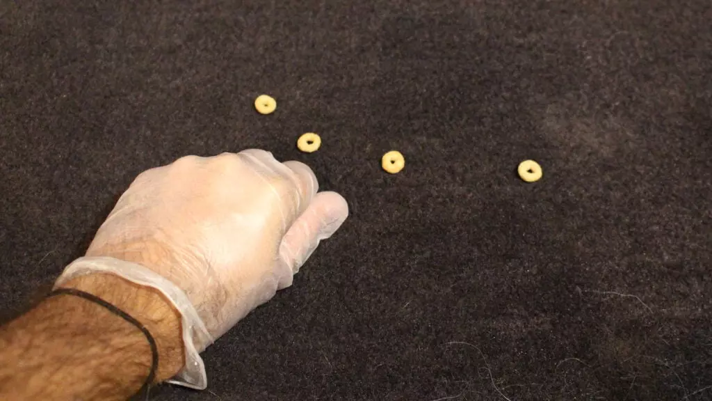 A gloved hand picks up Cheerios from black car carpet.