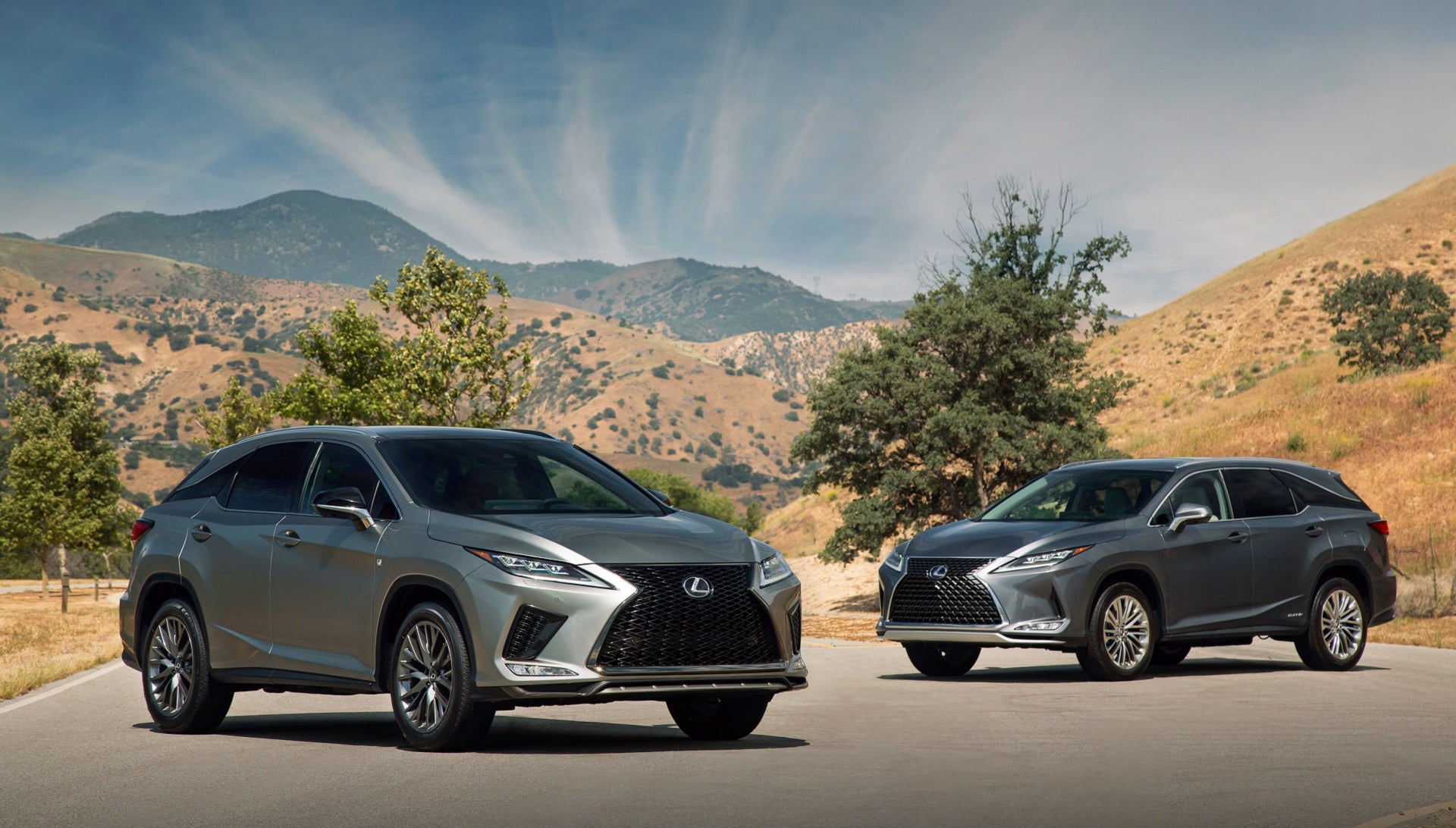 2020 Lexus RX and RXL: A Slight Refresh Takes This Luxury SUV From Edgy to Elegant