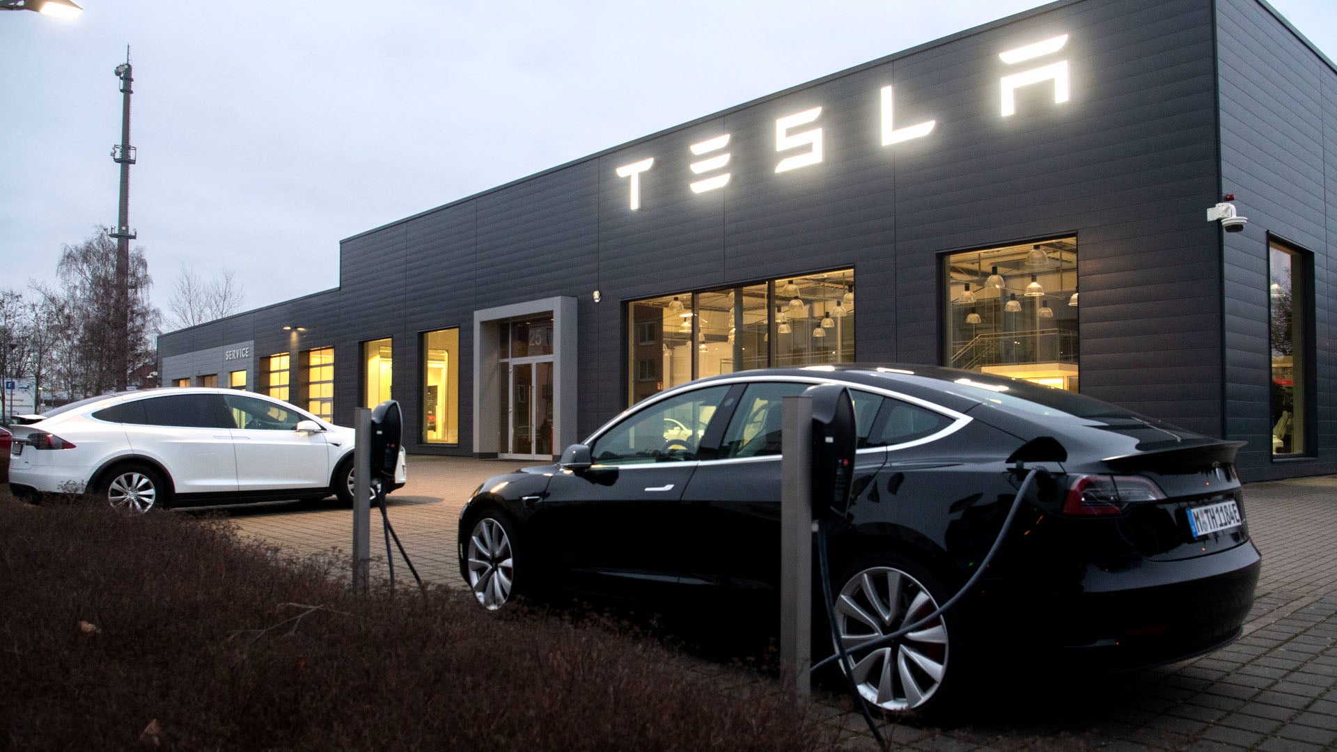 Tesla Takes Top Spot in US Luxury Car Sales, Dethroning BMW