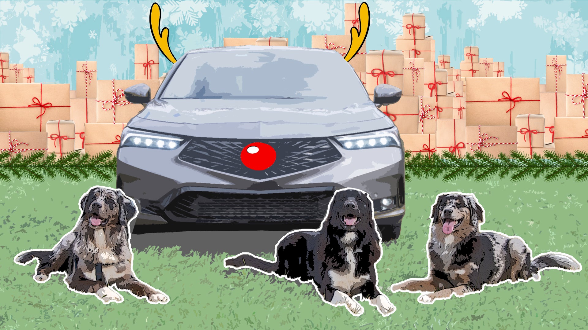 Here’s What You Need to Get Dog Lovers: The Drive Holiday Gift Guide