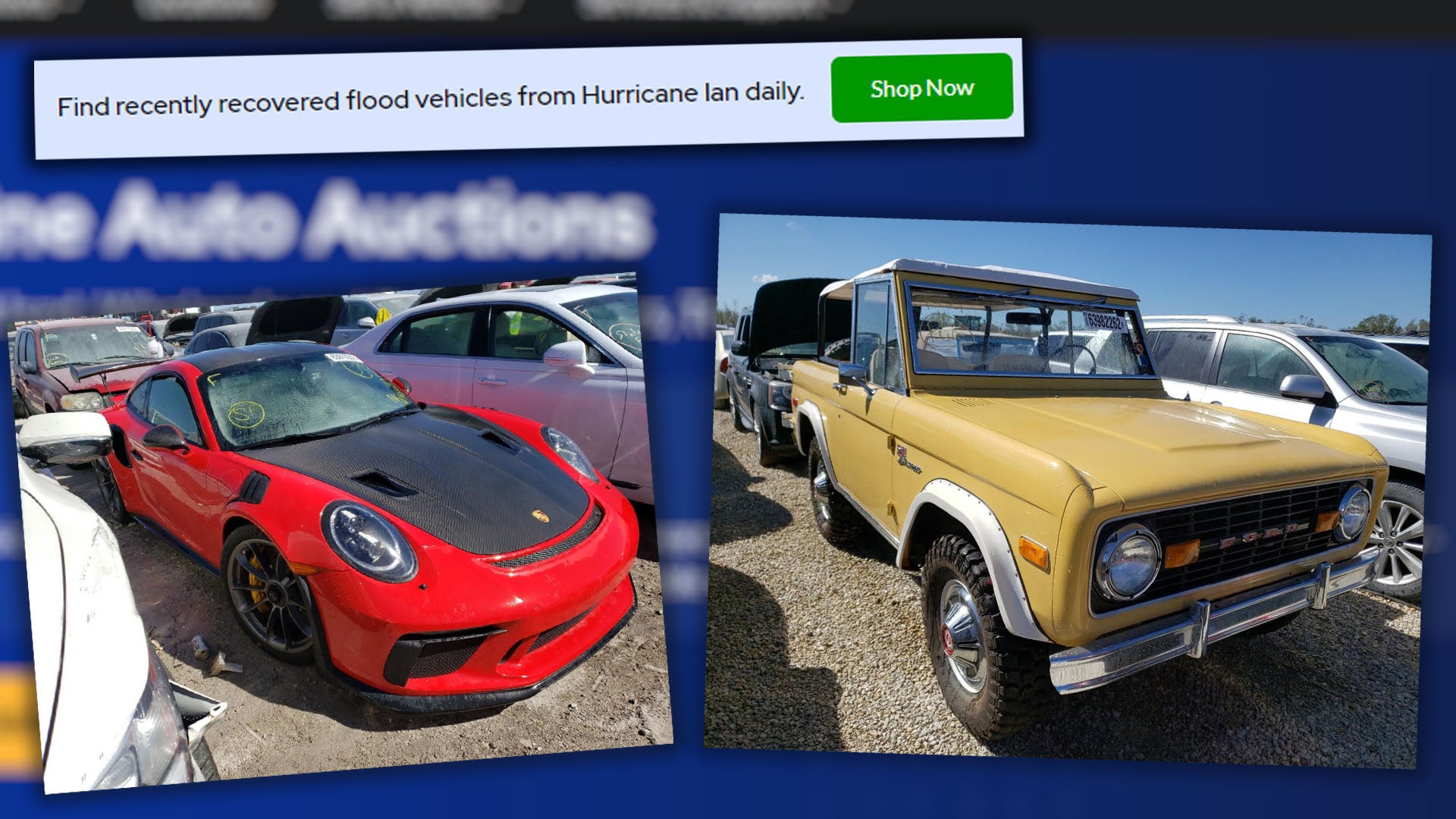 Hurricane Ian Destroyed Some Incredible Cars, and Thousands Are Now Available at Salvage Auctions