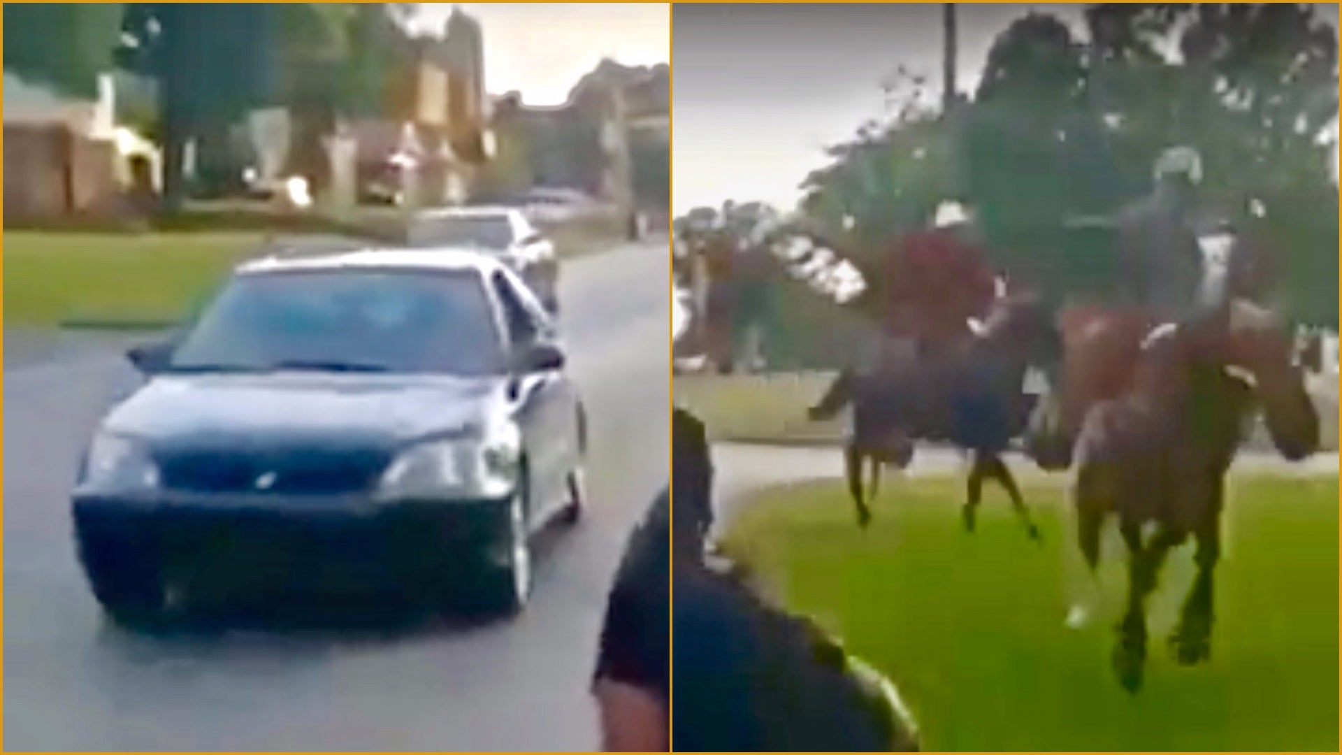 Honda Civic Driver Loses Drag Race to a Horse