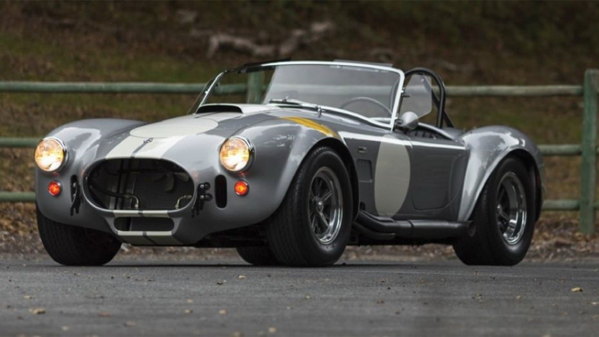 Original Shelby Cobra Attacked by a Bear in Alaska Over Fig Newtons